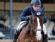 Paini Ten Ten GioCav2013 S5 2599 : Campionati Italiani Giovani Cavalli, Cattolica, Paini Paolo, Ten Ten, ph Stefano Secchi ©